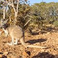 Ningaloo Marine Park