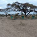 La Tanzanie : randonnée dans le secteur de Sinya