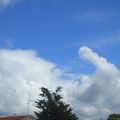nuage en forme de pénis