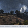 Incendies au Portugal