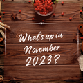 What's up in November 2023 ?
