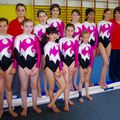 GYMNASTIQUE : PAS DE PODIUMS RÉGIONAUX POUR LES JEUNES CHAMPIONS.