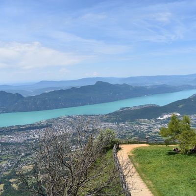 Jeu Photo 2025 : 32 / 52