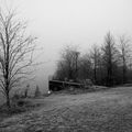 Givre et brouillard