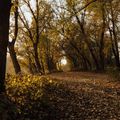 30 °C mi-octobre : où est passé l’automne ? par Reporterre