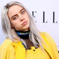 Billie Eilish : l’étoile montante de l’industrie de la musique