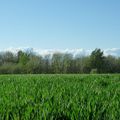 Avec ces quelques clichés pris sur les hauteurs des Côtes d'Arey, je vous souhaite une agréable journée !