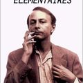 Les Particules élémentaires, de Michel HOUELLEBECQ (1998)