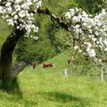 Rendez-vous de printemps