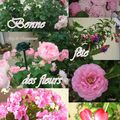 Bonne fête des fleurs