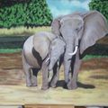 Eléphants