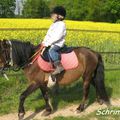 grande schrimpette et son premier cours à poney