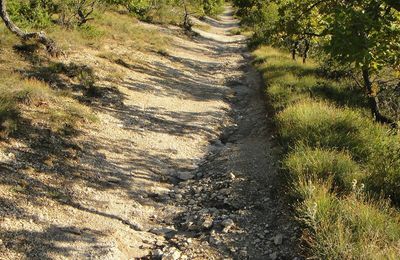 Forcalquier-Le Revest St Martin