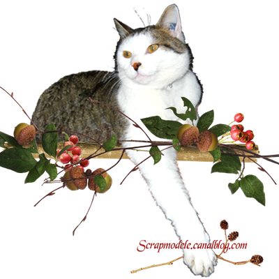 Echange de cartes de voeux