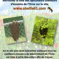Essaim d'abeilles