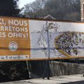 Ri de Vaux à Nessonvaux : avez-vous vu les OFNI's ?