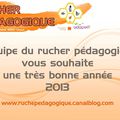 Bonne année 2013