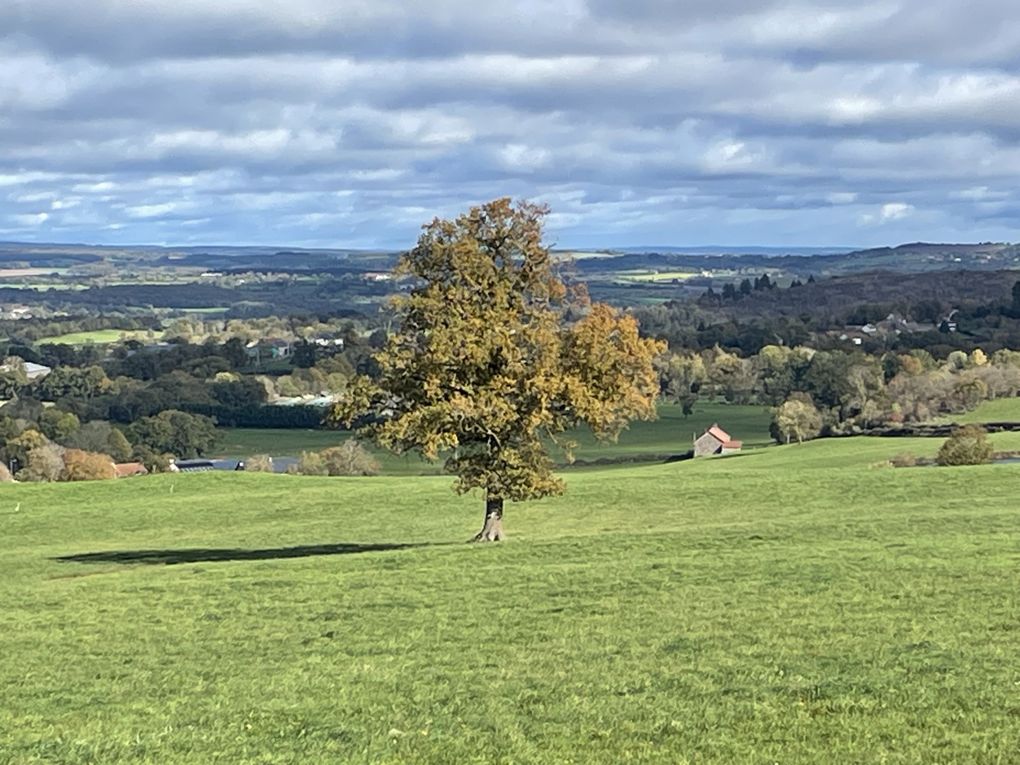 Mercredi 29 oct 2025 : hier j'étais dans les Combrailles , sur mes pas dans la commune de Manzat et environs  mon diapo s'en suit  et sur la fin retour @ la maison 🏡 