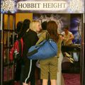 Avis de recherche : Hobbits