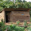 La cabane du bonheur