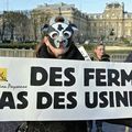 Procès de six paysans anti-1 000 vaches à AMIENS : actions prévues le 22 mars 2018 ! 