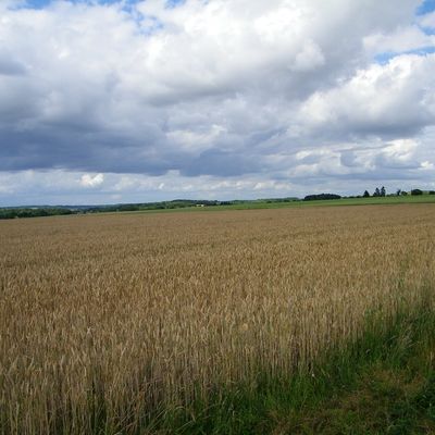 Marche du 2 juillet 2016