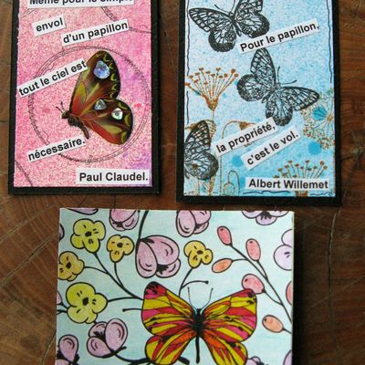 Papillons et Color Block