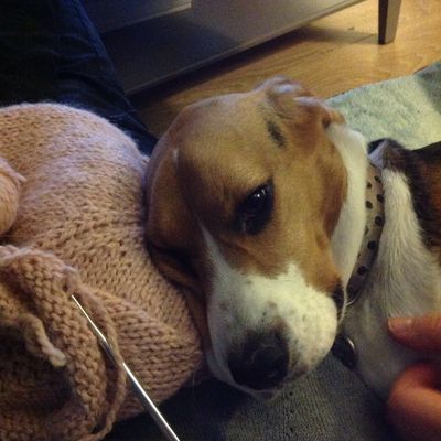 Ça faisait longtemps : un petit point tricot