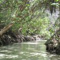 Fraser island