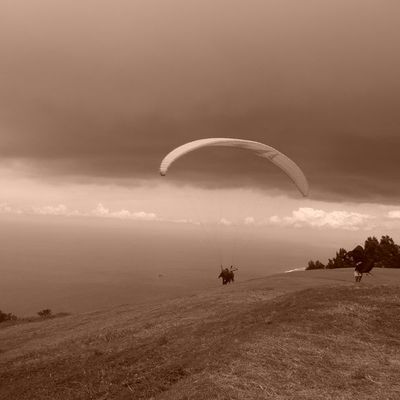 LA REUNION - SEMAINE 7