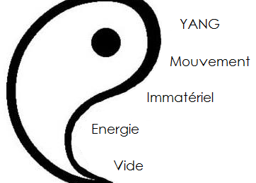 Yin et Yang en Feng Shui ou les deux facettes du Qi