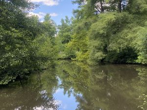 De la nature avant tout