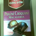 Praliné Croquant Macadamia de Côte d'Or