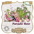 Kit Paradis Rose de Boudinette