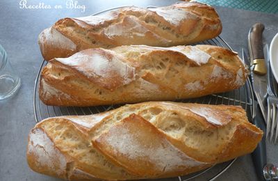 BAGUETTES AU LEVAIN FACON RESPECTUS PANIS