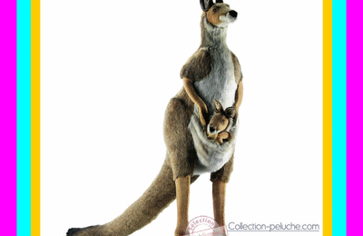 Le kangourou