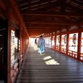 Voir Miyajima ... et ne pas mourir ...