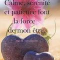 Calme 💟, sérénité 💟 et patience 💟 font la force de mon être 💟💟💟...