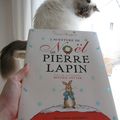 L'aventure de Noël de Pierre Lapin - Emma Thompson et Eleanor Taylor