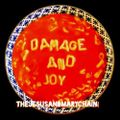 THE JESUS AND MARY CHAIN – Damage And Joy (2017)