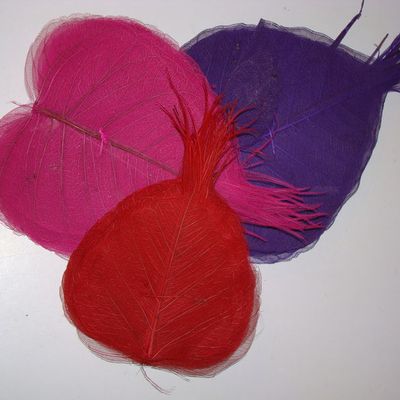 dry leaves 10 feuilles couleurs aux choix 1.5 euros