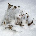 Tubes de glace