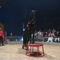 Le cirque à Elancourt