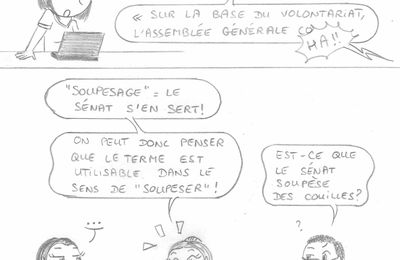 De l'art des termes employés au Sénat !