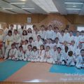 stage du judo