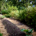 Préparer son jardin pour l’hiver..