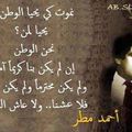 شاعر أحمد مطر