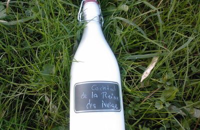 Le Cocktail de la Reine des Neiges