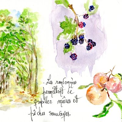 Août avait été pauvre en croquis  