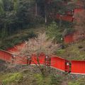 Tsuwano 